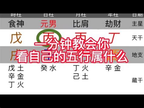 警察五行|【警察五行】「警察五行命理破解！這五個行業屬於警察五行，你。